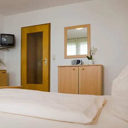 Hotel Zentral-hotel 3*
